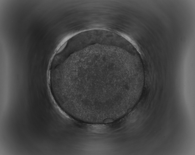 X0000086971383200705071348