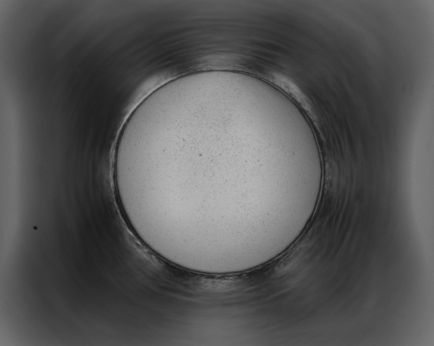 X0000086971386200705071348