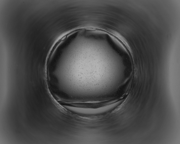 X0000086971388200705071348