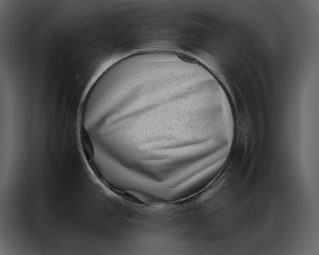 X0000086971390200705071348