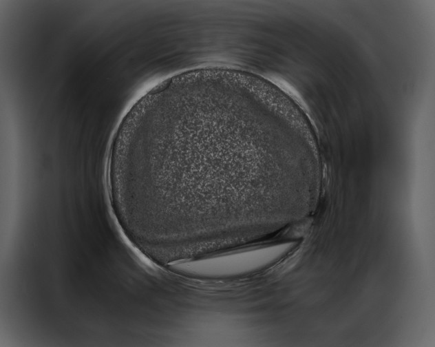 X0000086971391200705071348