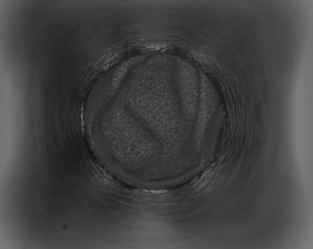 X0000086971394200705071347