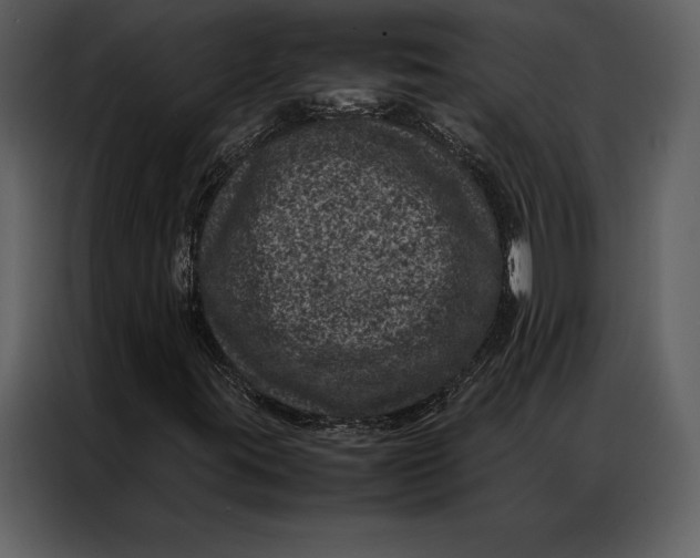 X0000086971395200705071347