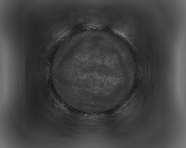 X0000086971399200705071347