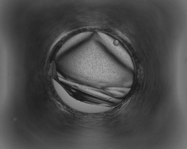 X0000086971400200705071347