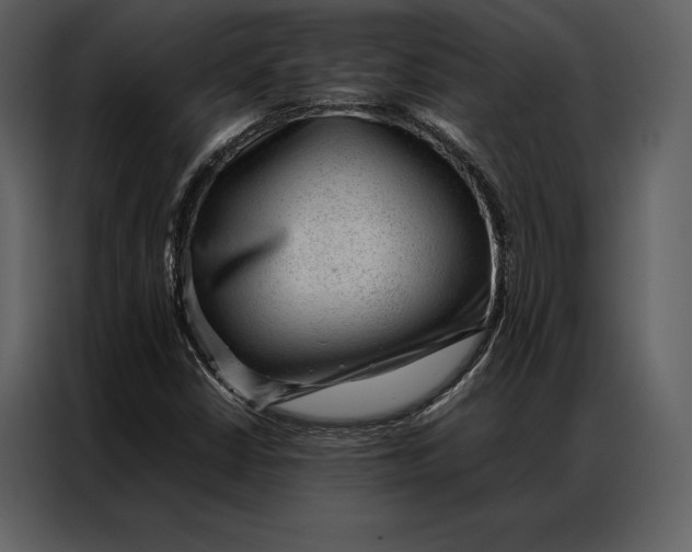 X0000086971402200705071347