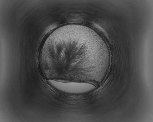 X0000086971411200705071347