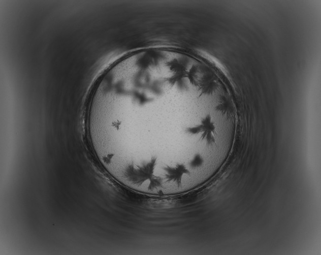 X0000086971415200705071347