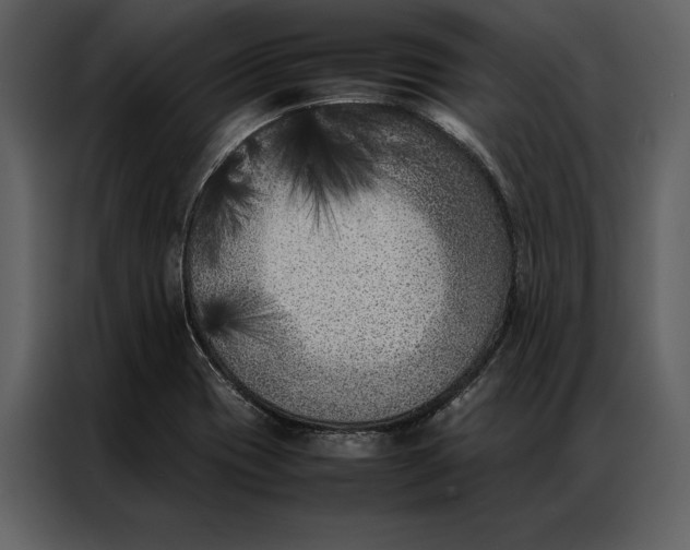 X0000086971417200705071347