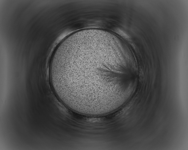 X0000086971419200705071347