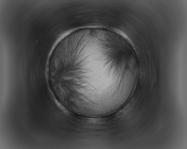 X0000086971421200705071347