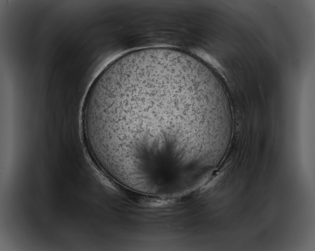 X0000086971423200705071347