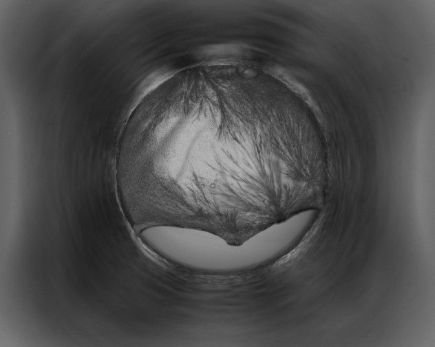 X0000086971425200705071347