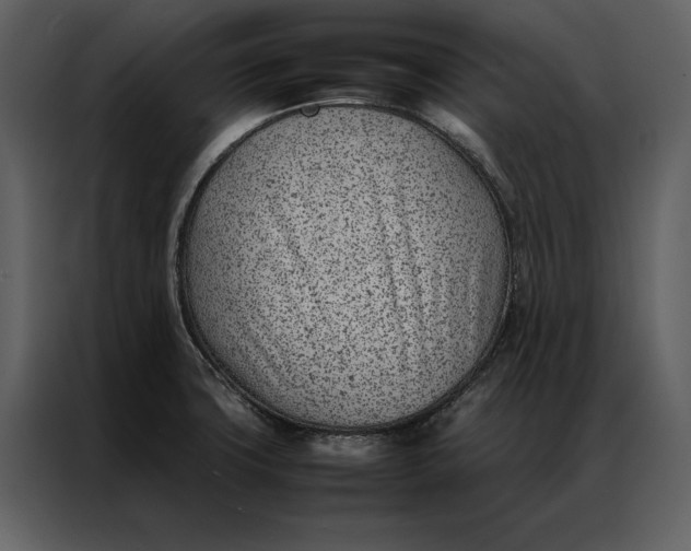 X0000086971427200705071347