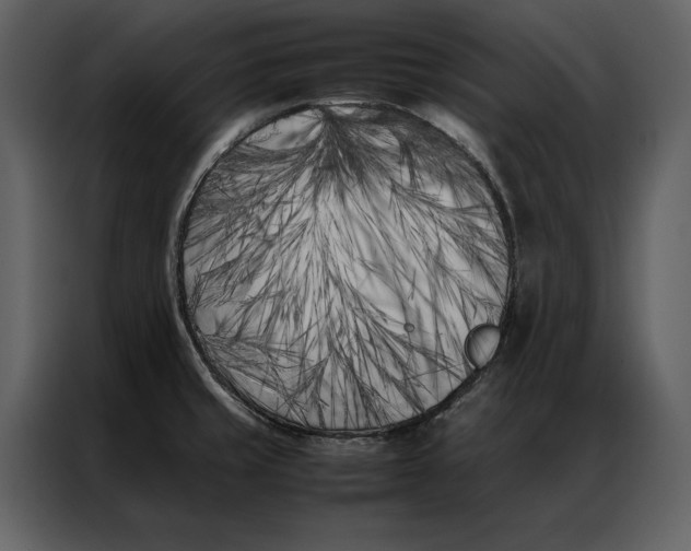 X0000086971429200705071347