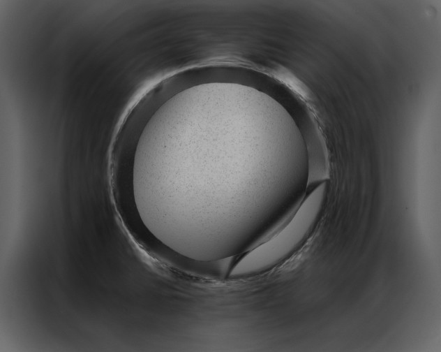 X0000086971430200705071347