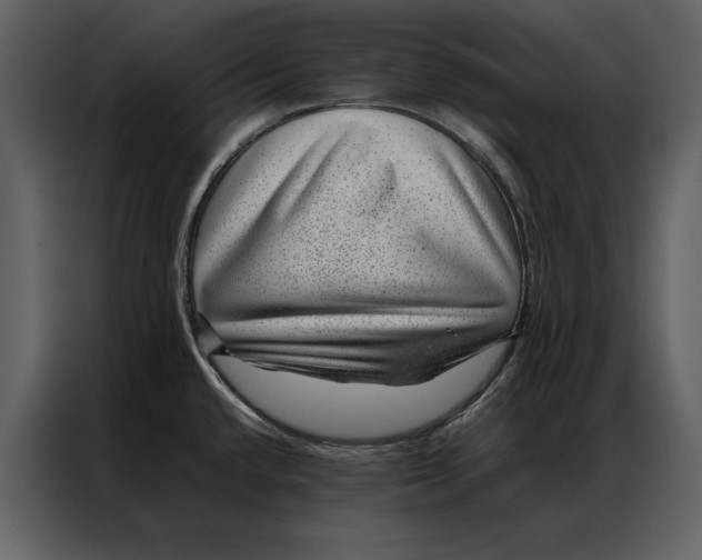 X0000086971432200705071347