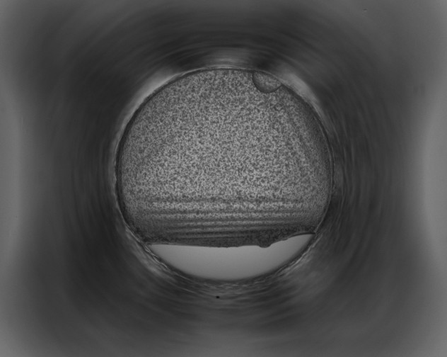 X0000086971435200705071347