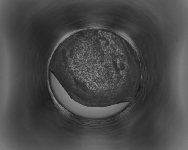 X0000086971439200705071348