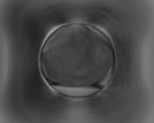 X0000086971440200705071348