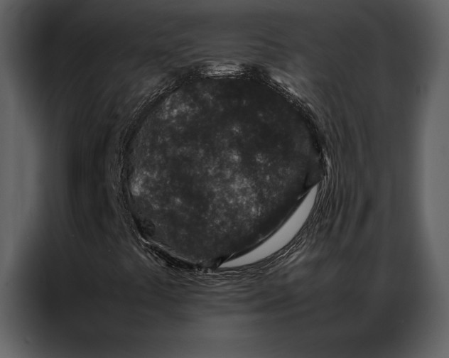 X0000086971441200705071347