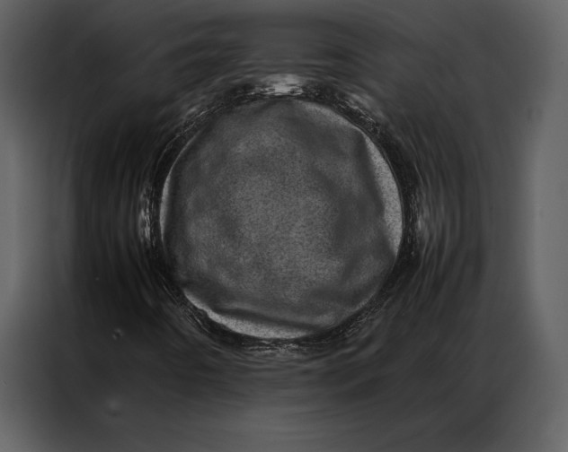 X0000086971442200705071347