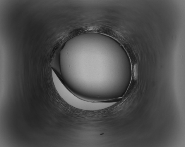 X0000086971443200705071347