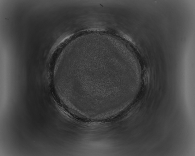 X0000086971448200705071347