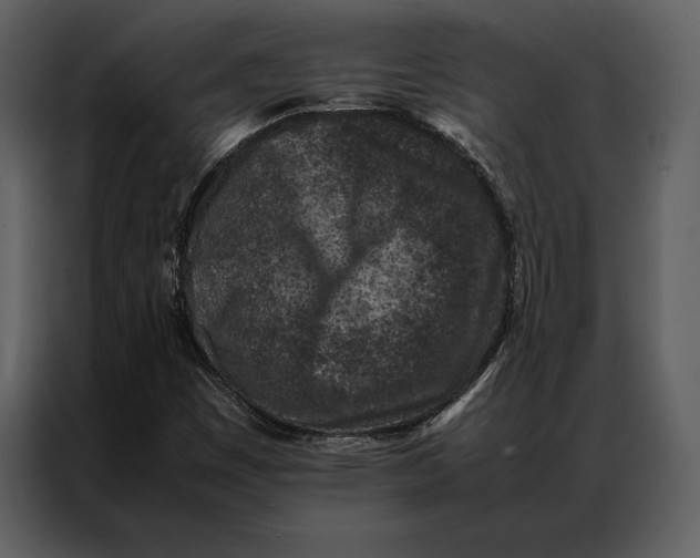 X0000086971449200705071347