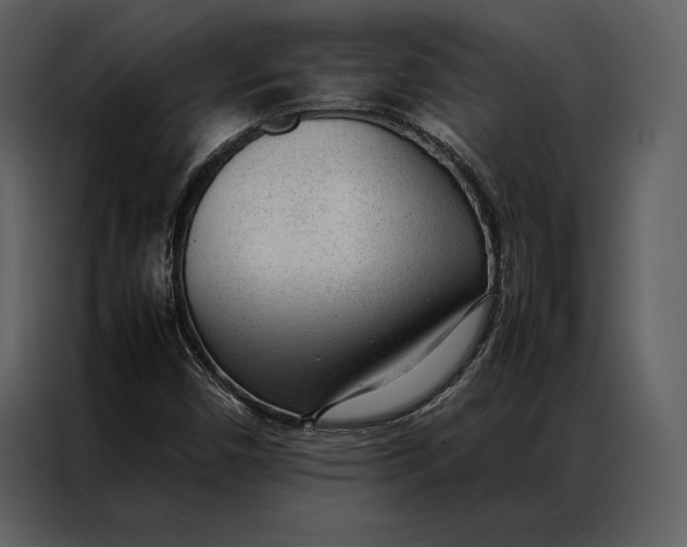 X0000086971450200705071347