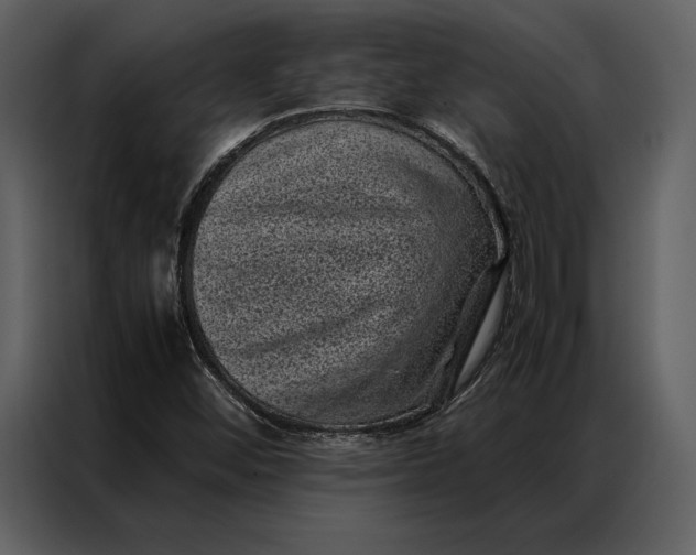 X0000086971452200705071347