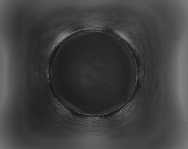 X0000086971455200705071347