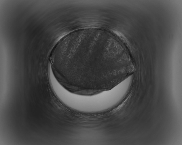 X0000086971457200705071347