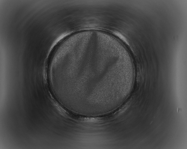 X0000086971458200705071347