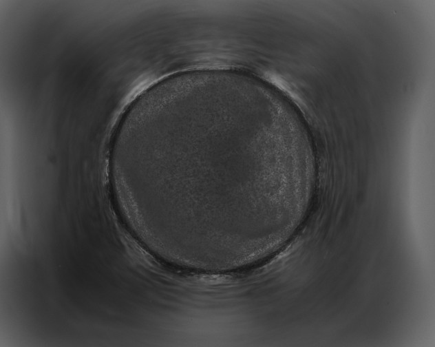 X0000086971459200705071347