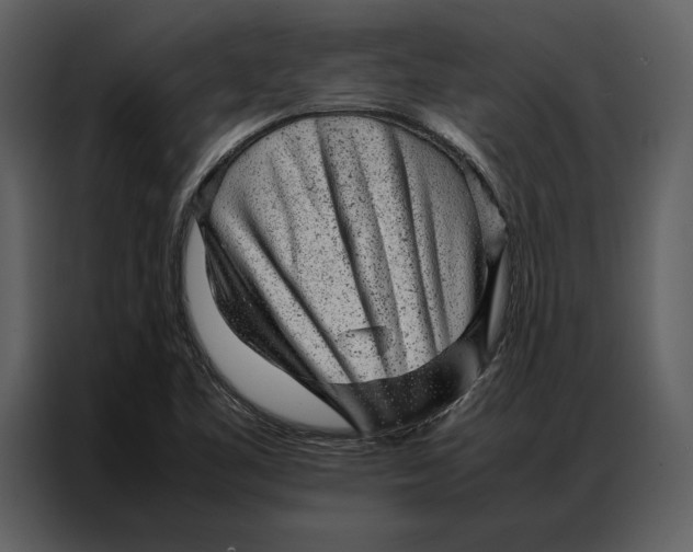 X0000086971461200705071346