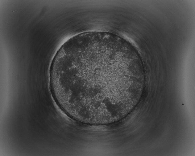 X0000086971479200705071346