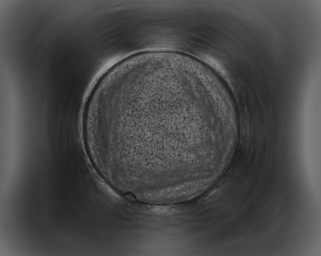 X0000086971480200705071346