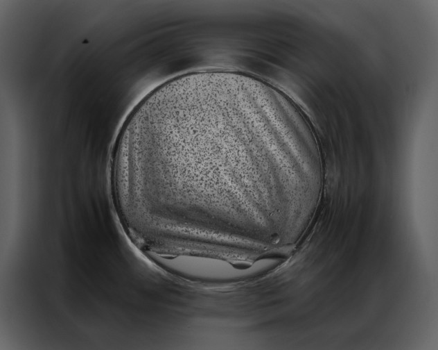 X0000086971484200705071346