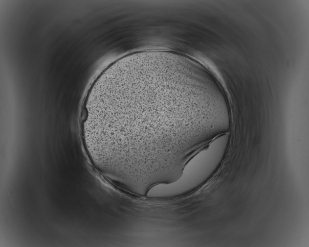 X0000086971488200705071346