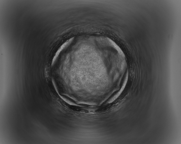 X0000086971490200705071345