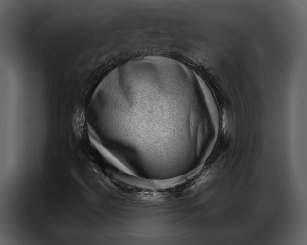 X0000086971492200705071345