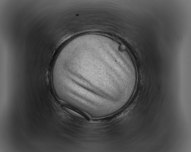 X0000086971497200705071345