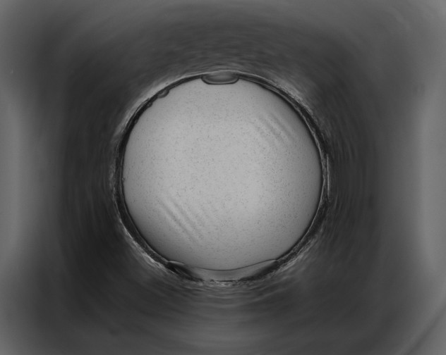 X0000086971500200705071346