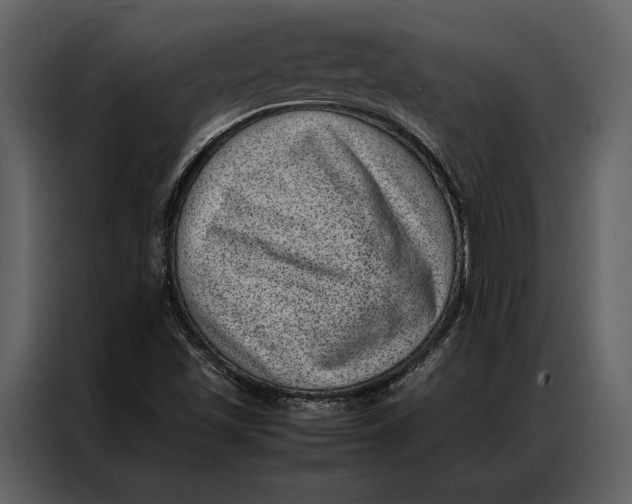 X0000086971501200705071346