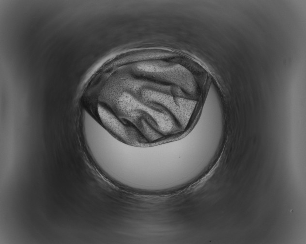 X0000086971502200705071346