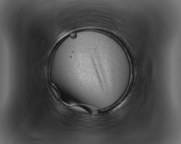 X0000086971505200705071346