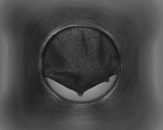 X0000086971506200705071346