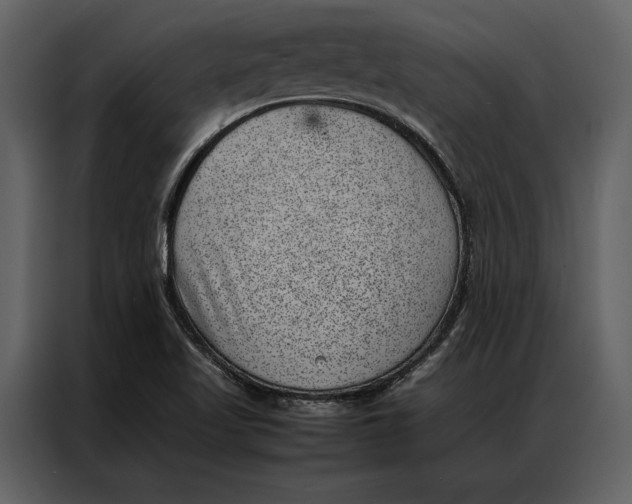 X0000086971509200705071346