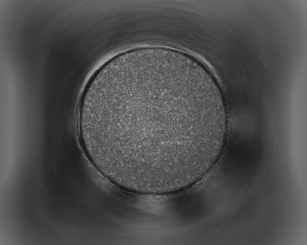 X0000086971514200705071346